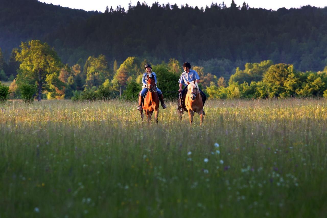 Notranjska Hisa - Traditional Country House, Close To The World Attraction Cerknica Lake Begunje pri Cerknici Exteriör bild